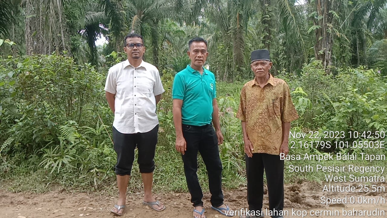 Verifikasi Lapangan Usulan Peremajaan Sawit Rakyat (PSR) di Koperasi Cermin Keluarga Sejahtera di Ke
