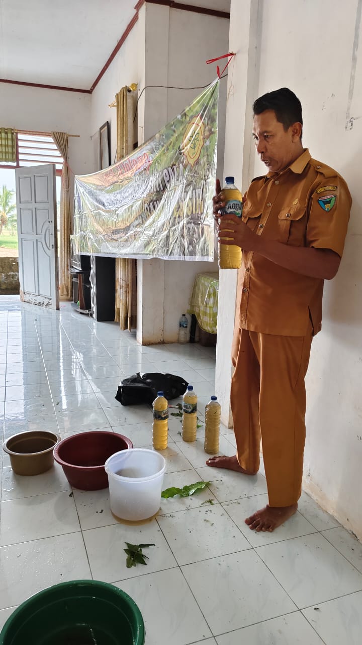 SEKOLAH LAPANGAN PALA DI POKTAN MUDA SAIYO 