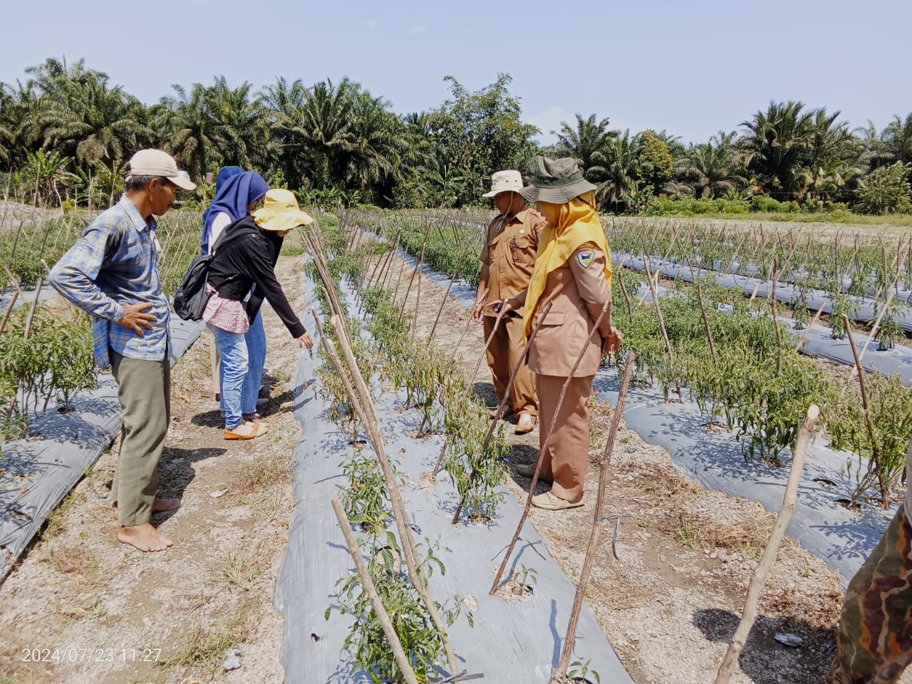 Pelaksanaan supervisi ke wkpp lubuk sarik