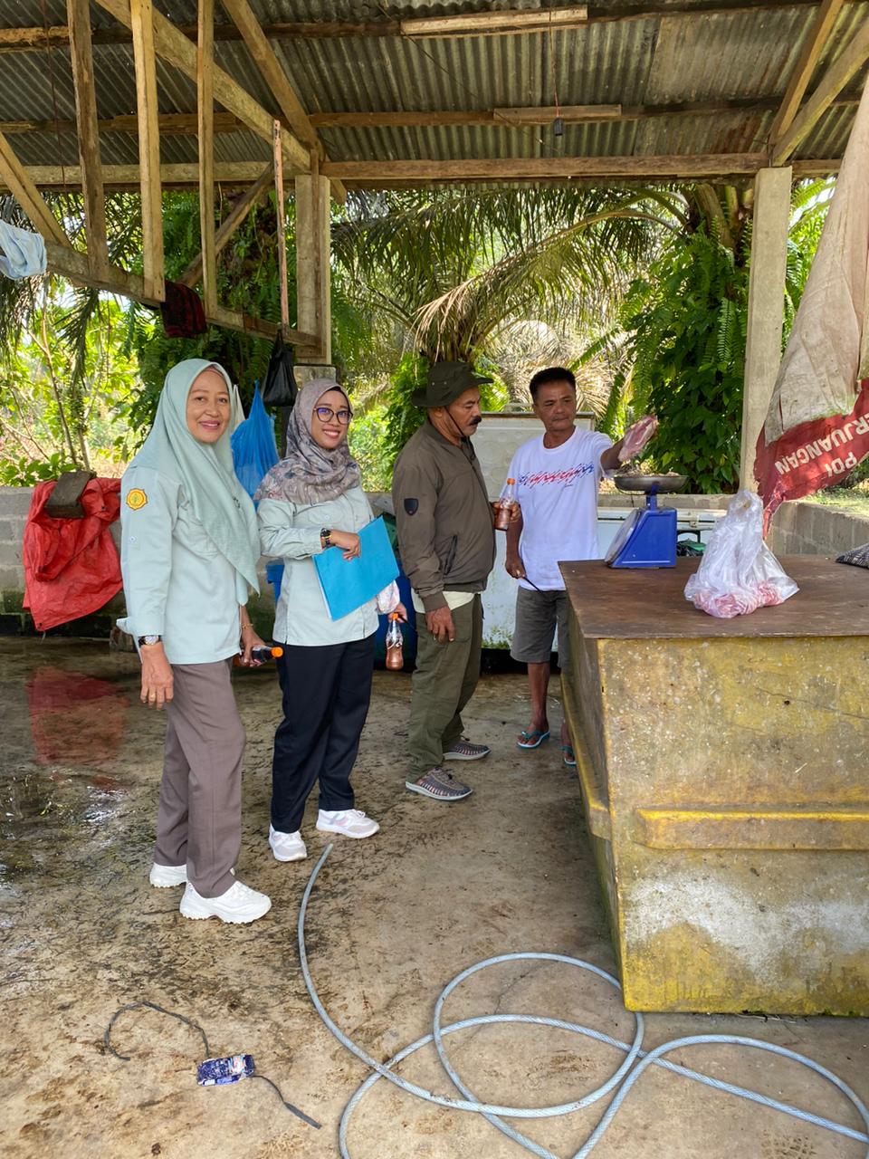 pembelian dan pengepakan sampel pangan asal hewan di kecamatan Basa IV Balai Tapan