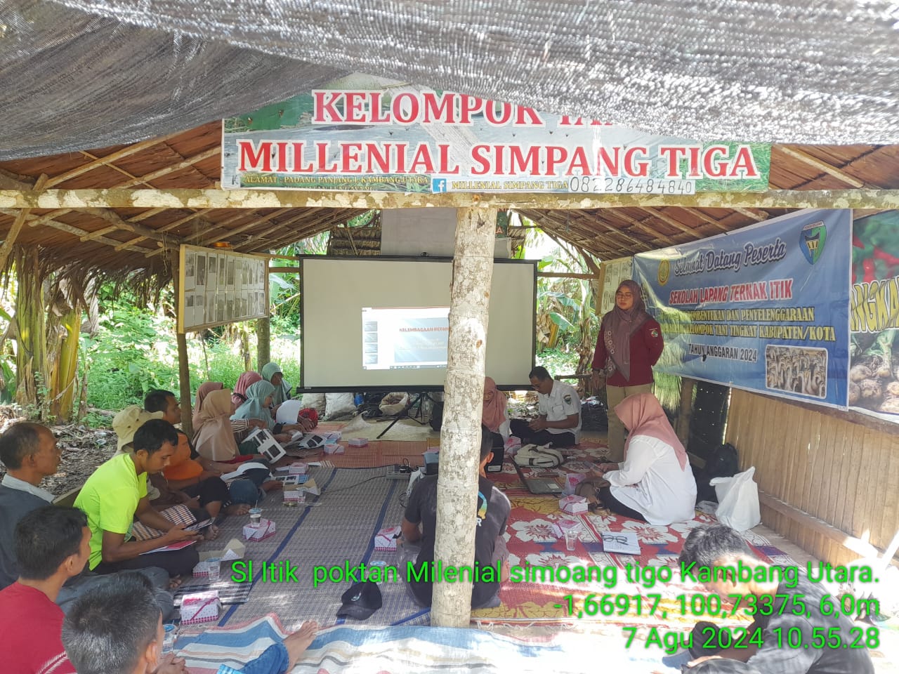 Sl ternak itik di kelompok tani milenial simpang tiga