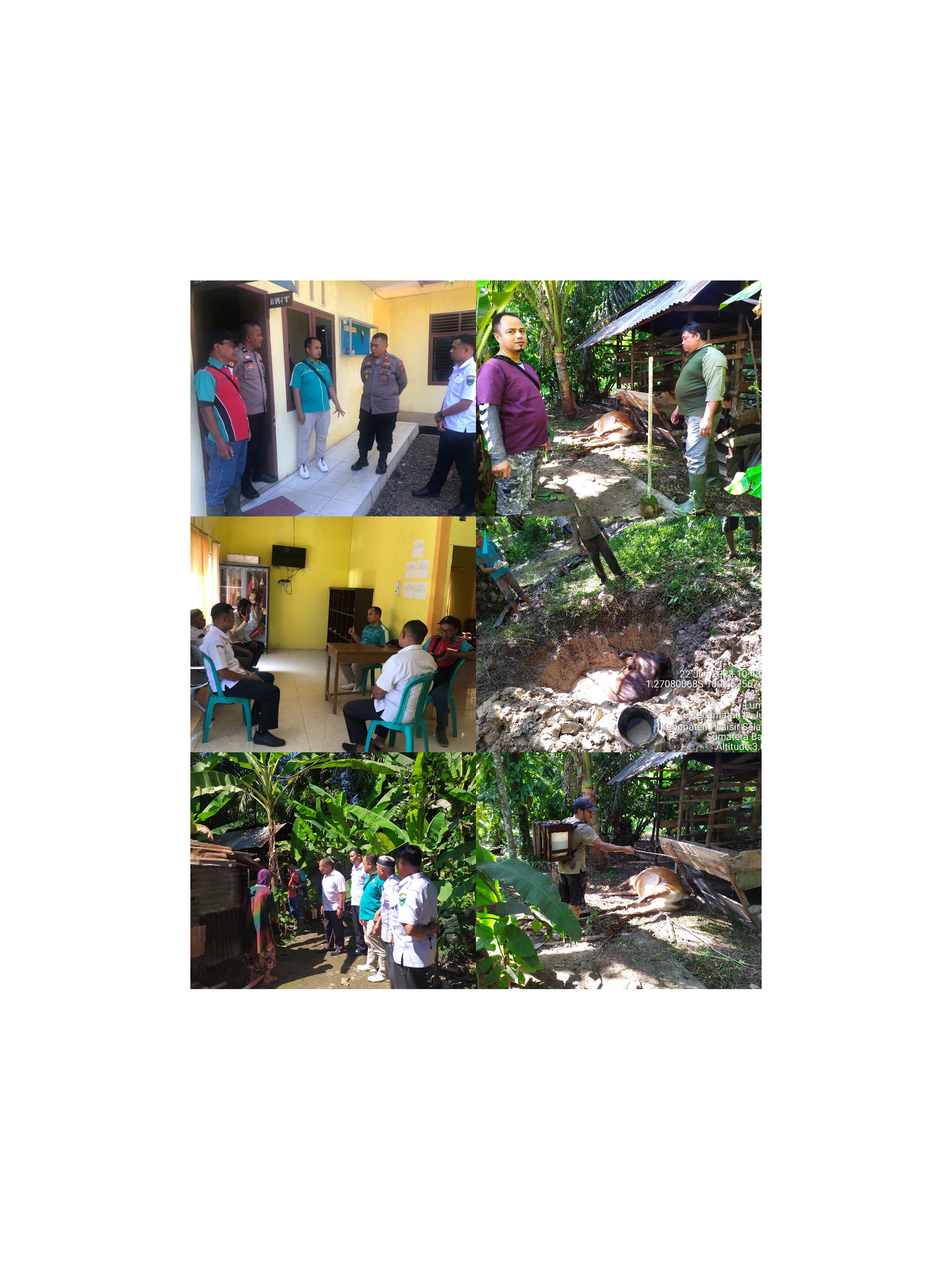 KASUS RABIES PADA SAPI DI KEC. IV JURAI