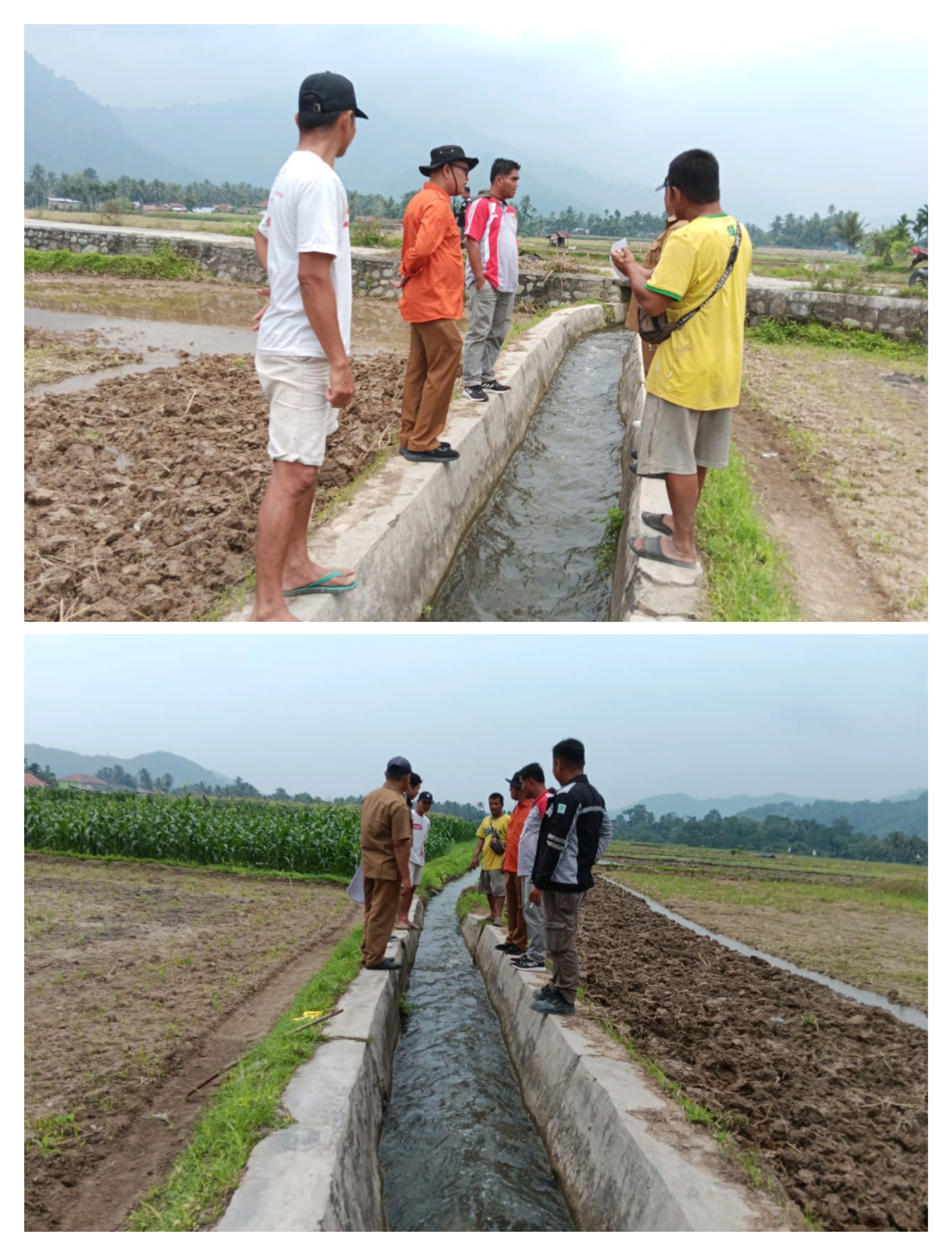 PEMBANGUNAN JARINGAN IRIGASI TERSIER DI KELOMPOK TANI KAYU KALEK NAGARI KAPELGAM KECAMATAN BAYANG DI