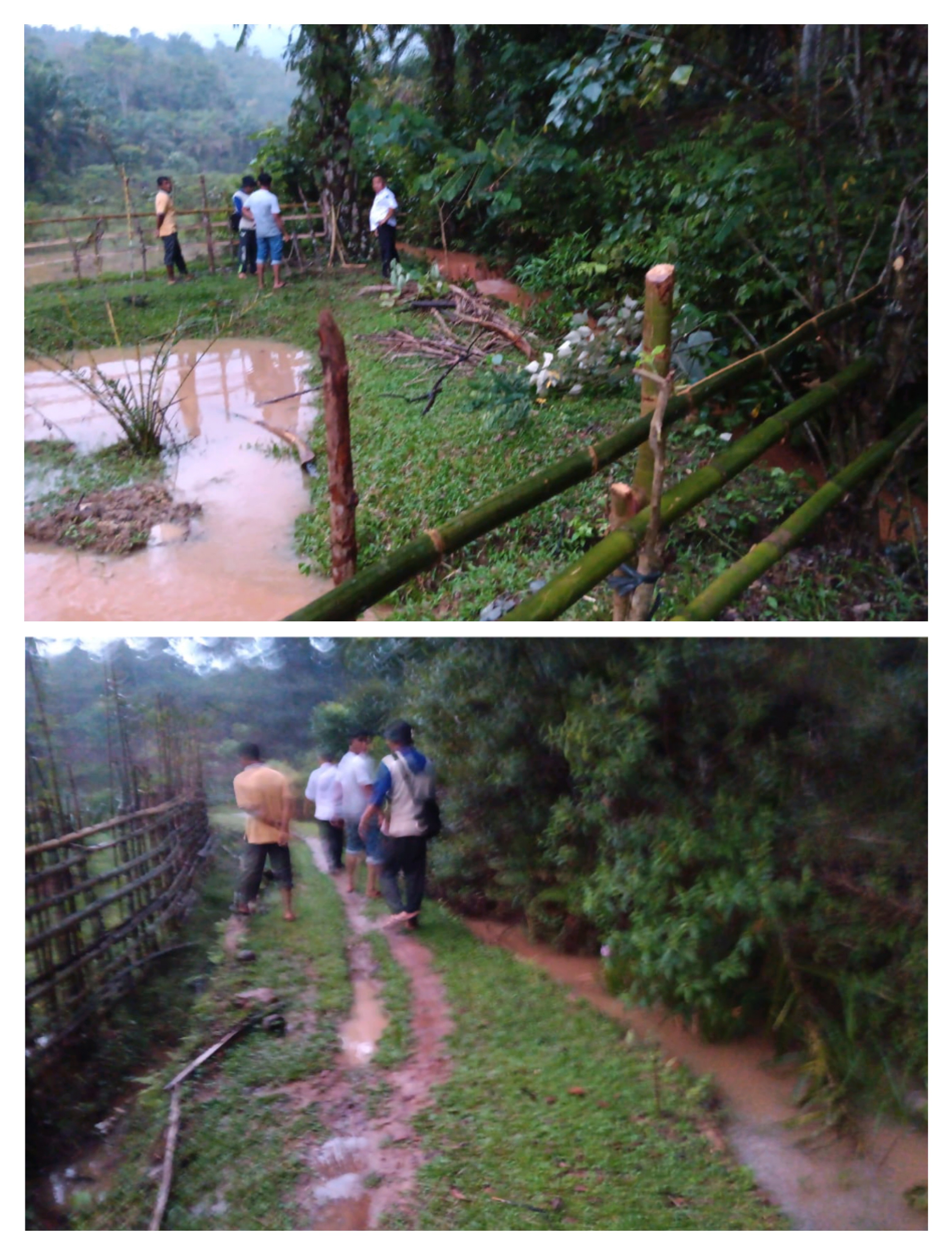KELOMPOK TANI AIR JAMBAK NAGARI AIR HAJI TENGGARA KECAMATAN LINGGO SARI BAGANTI AKAN MEMPUNYAI IRIGA
