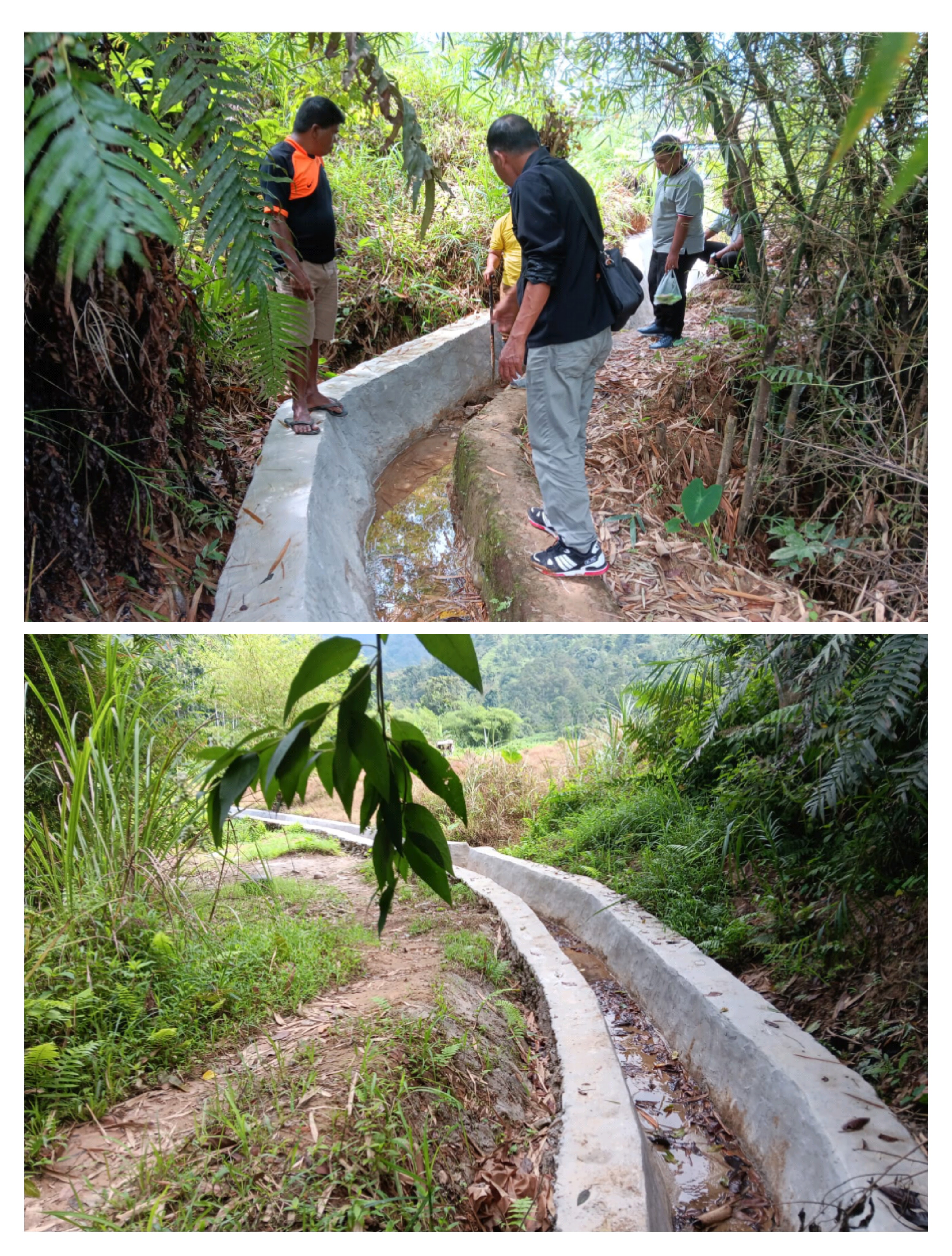 IRIGASI KELOMPOK TANI TANAH MELAYU NAGARI SIGUNTUR DIEVALUASI OLEH DINAS PERTANIAN