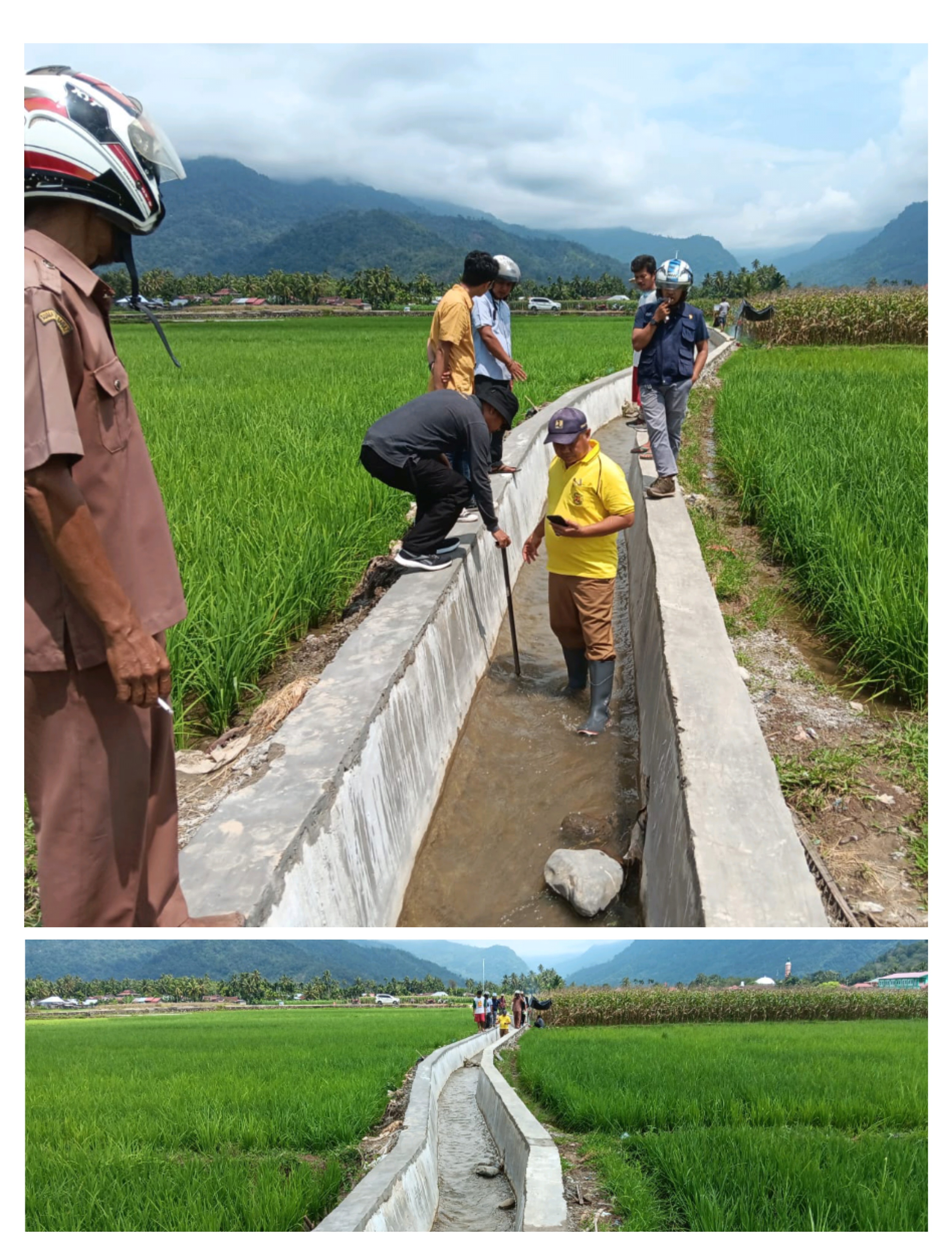 IRIGASI KELOMPOK TANI KAYU KALEK NAGARI KAPELGAM KECAMATAN BAYANG SUDAH BERFUNGSI 100%