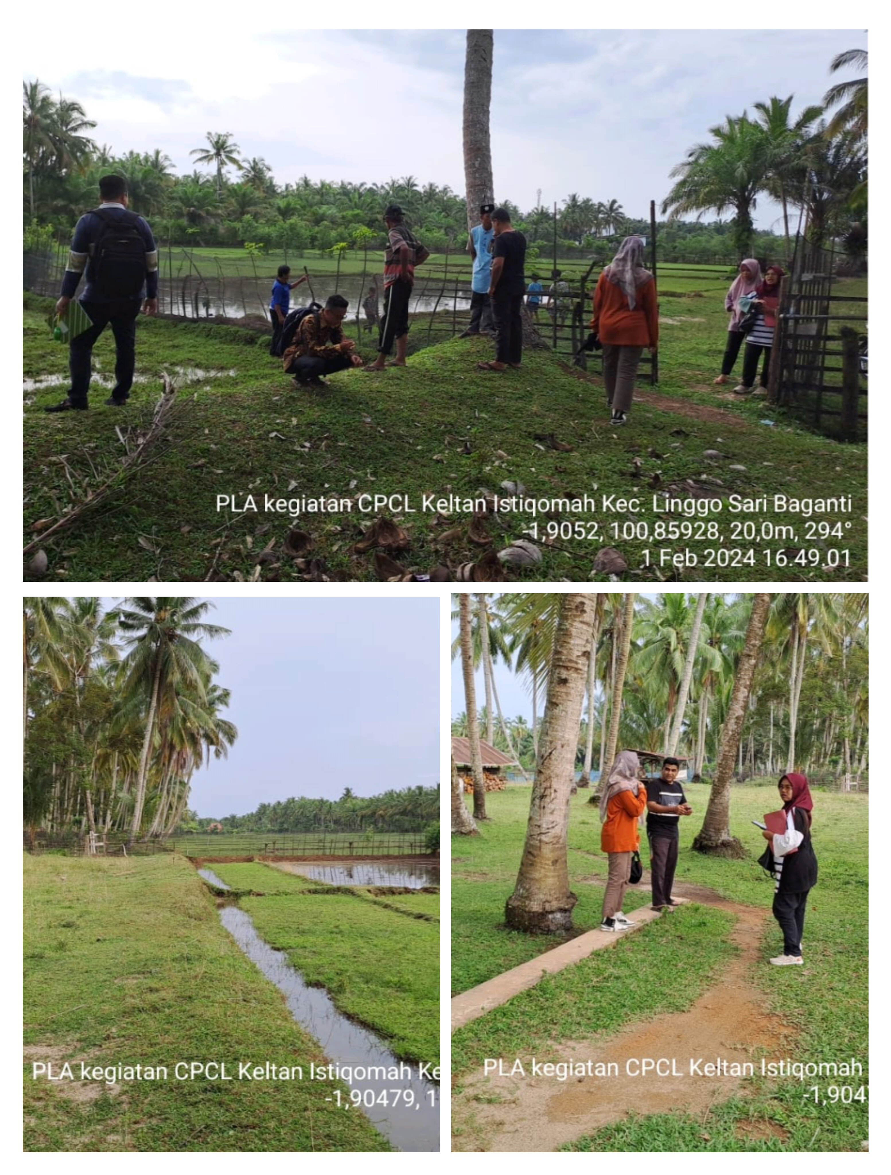 CP/CL Pembangunan, Rehabilitasi dan Pemeliharaan  Jalan Usaha Tani Kelompok Tani Istiqomah 