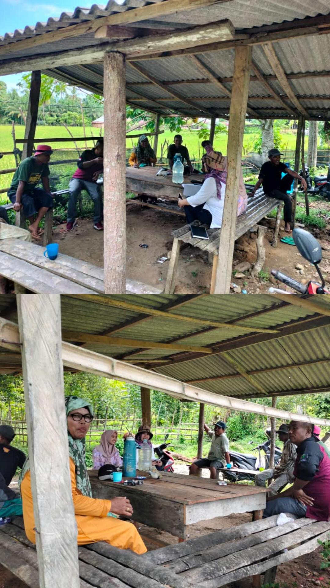 Mendampingi Tim dari Provinsi dan tim Kabupaten CPCL bibit tanaman Alpokat di Poktan Pincuran Anam, 