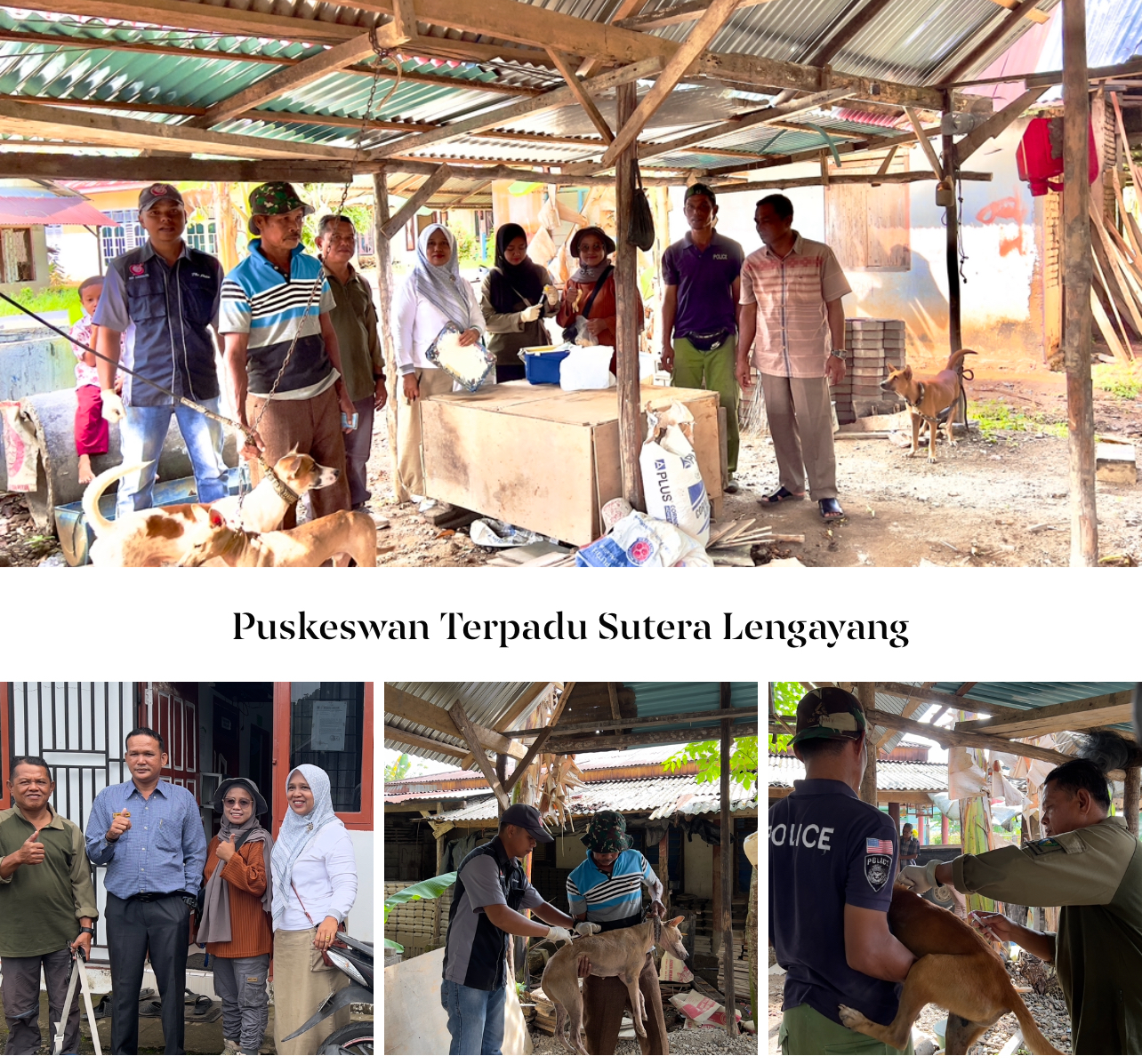 PELAKSANAAN KEGIATAN VAKSINASI RABIES  DINAGARI KAMBANG TIMUR KECAMATAN LENGAYANG