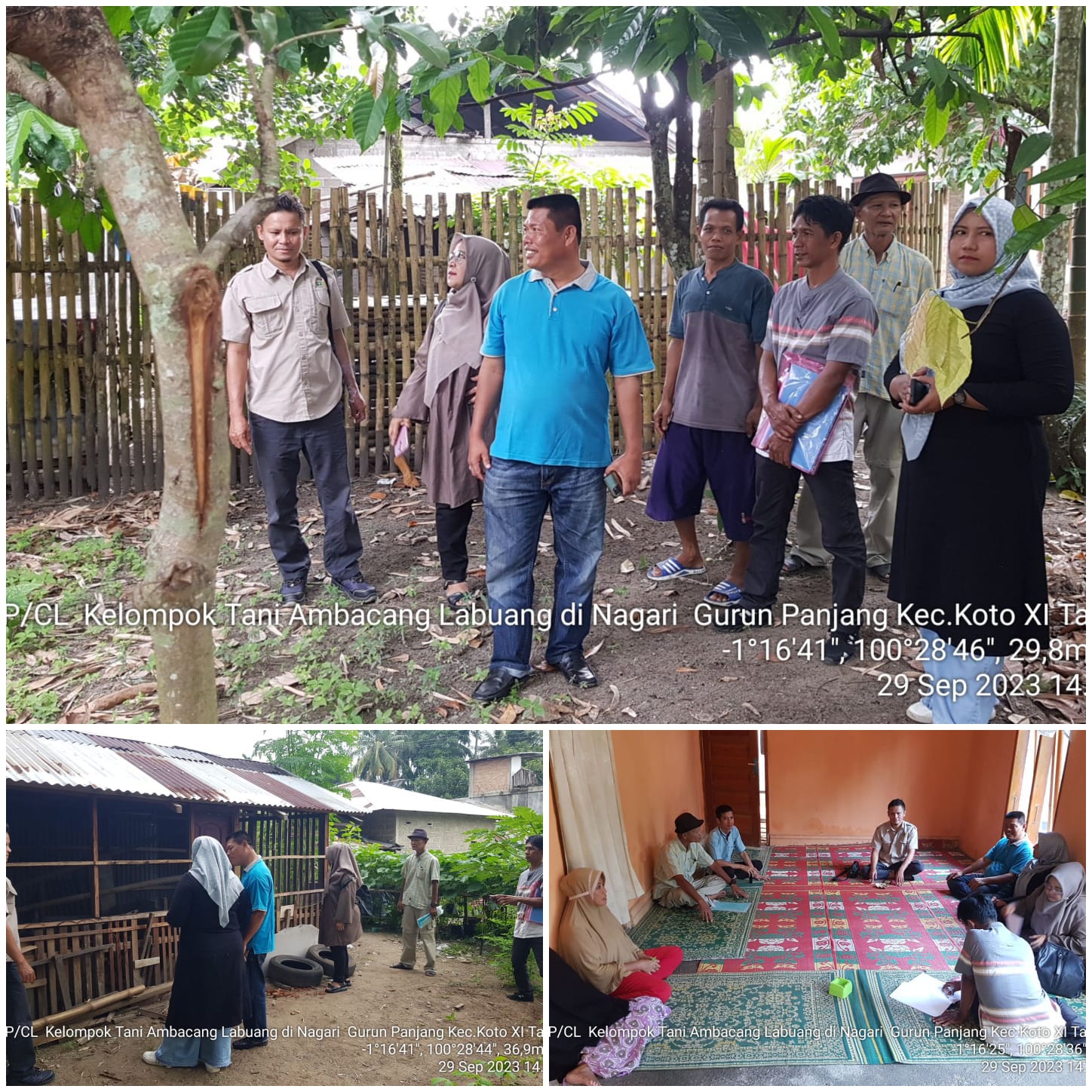 BIDANG PETERNAKAN CP/CL KELOMPOK PENERIMA BANTUAN TERNAK ITIK DI KEC.KOTO XI TARUSAN