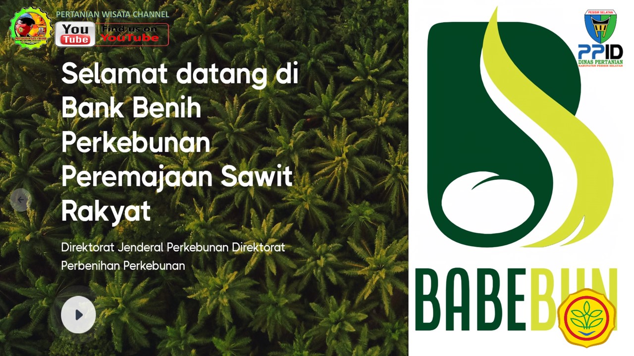 DITJENBUN KENALKAN APLIKASI BERBASIS WEB : BANK BENIH PERKEBUNAN PEREMAJAAN SAWIT RAKYAT