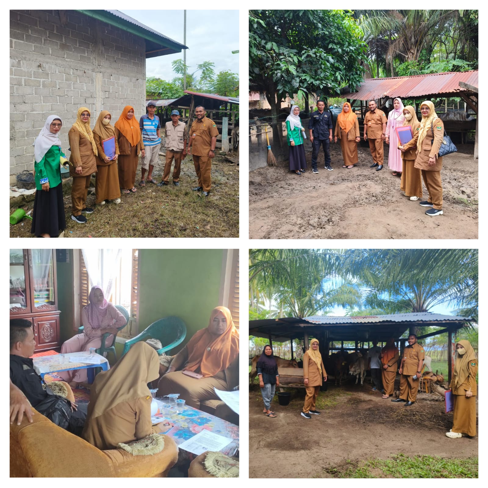 MENDAMPINGI TIM DISNAKKESWAN PROV.SUMBAR VERIFIKASI KELOMPOK PENERIMA BANTUAN SAPI JANTAN PEMACEK