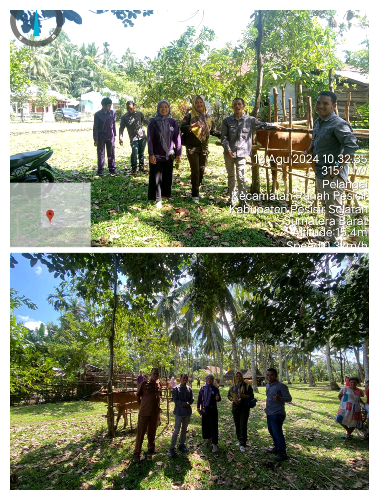 Monitoring Vaksinasi Penyakit Jembrana  di  Nagari Koto VIII Pelangai 