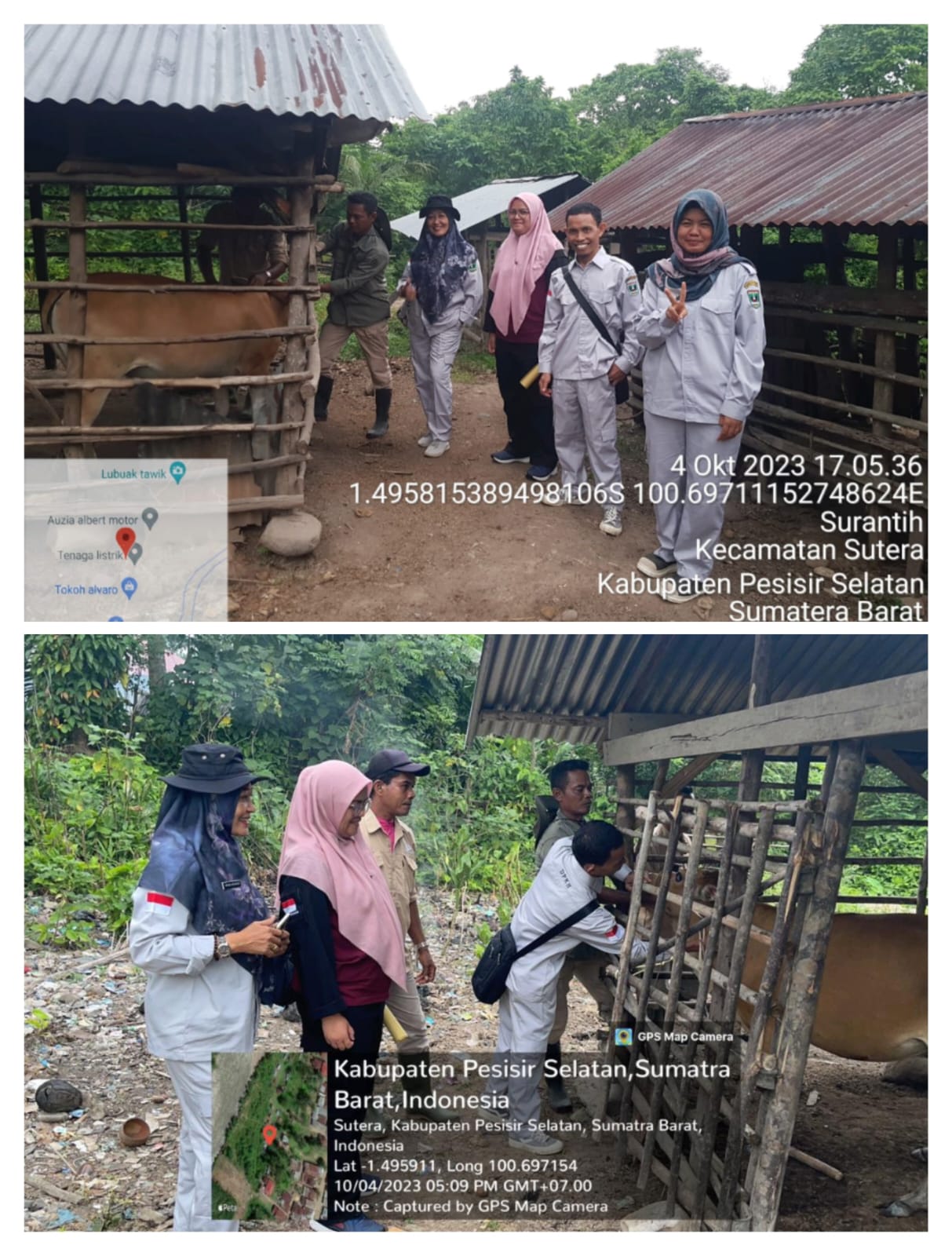 Monitoring Vaksinasi PMK ke nagari Gantiang Mudiak Selatan Kecamatan Sutera