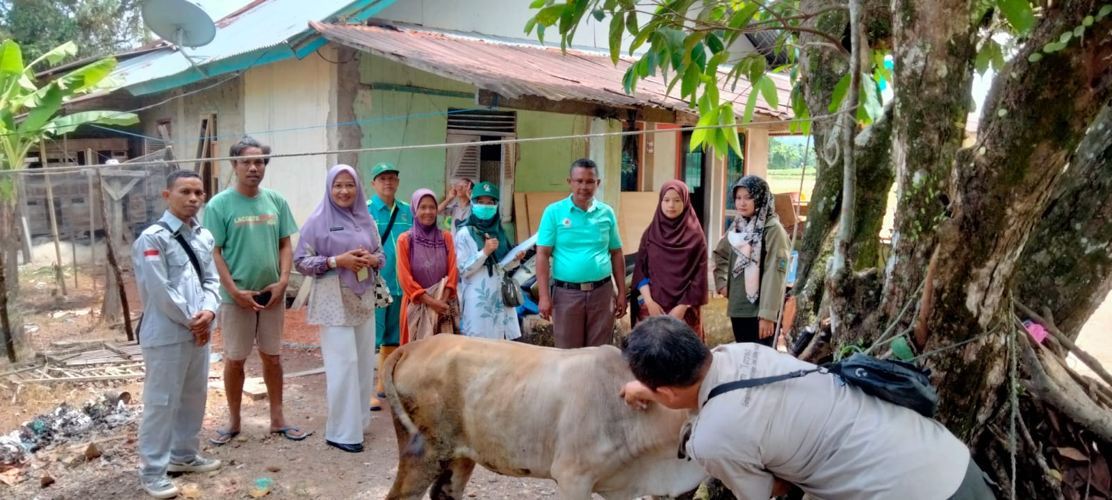 Monitoring Vaksinasi Penyakit Mulut dan Kuku di Nagari Setara Nanggalo Kecamatan Koto XI Tarusan