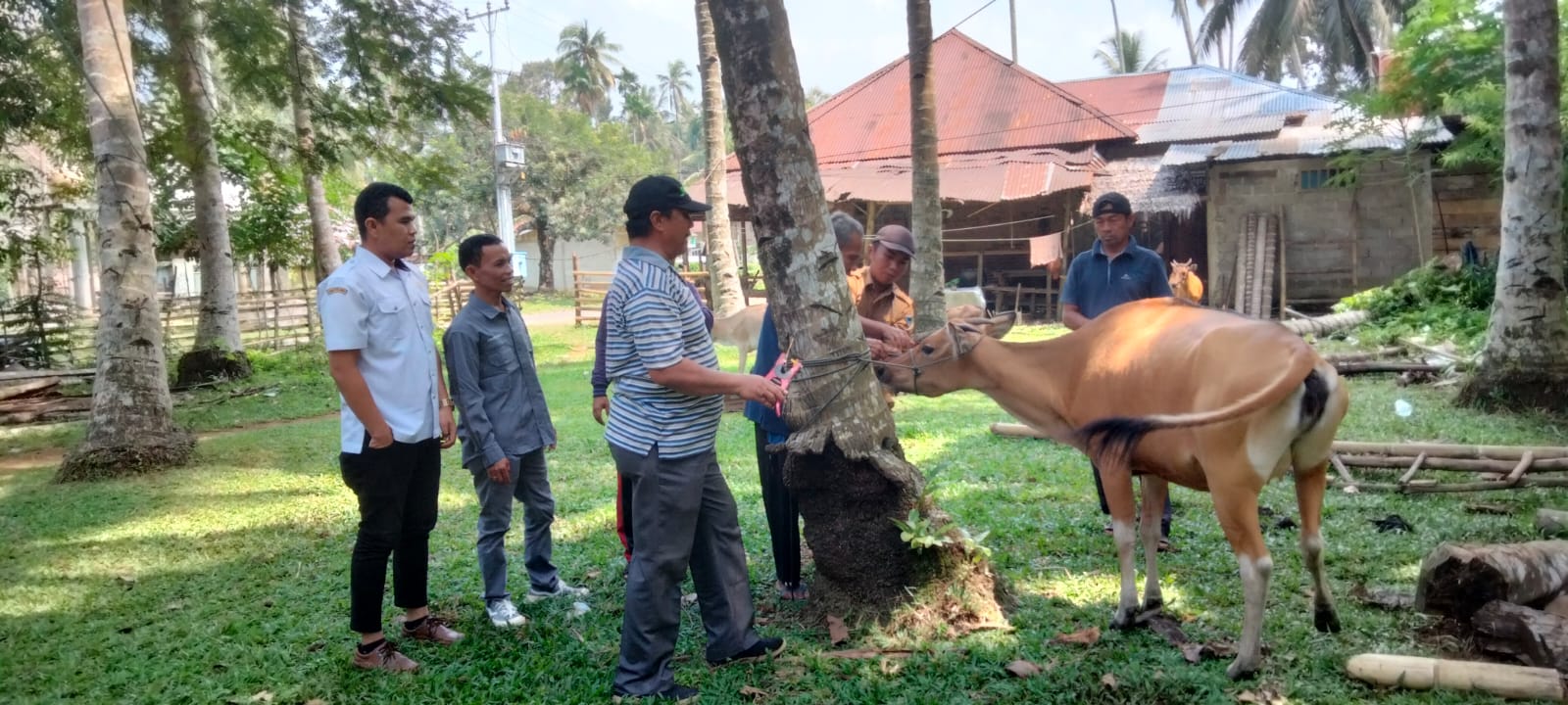 Monitoring Vaksinasi PMK ke Nagari Koto VIII Pelangai Kecamatan Ranah Pesisir