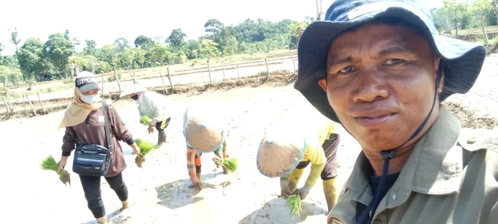 Penyuluh pertanian WKPP Ampang Tulak turlap dalam rangka tanam padi serentak di WKPP