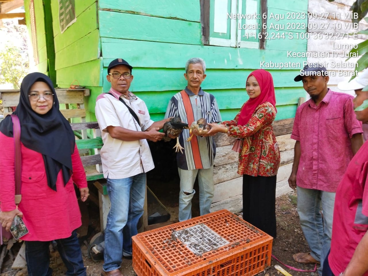 PENDISTRIBUSIAN AYAM KUB DI WILAYAH KECAMATAN IV JURAI.
