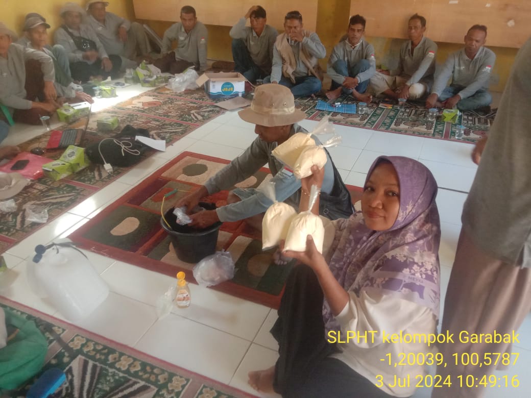 SL PHT Cabe Pertemuan Ke-4 di Kelompok Tani Garabak Kampung Asam Kumbang Nagari Puluik-Puluik Selata