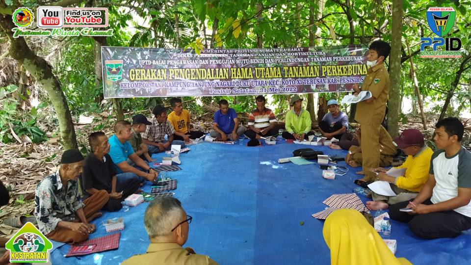 PELAYANAN PEMERIKSAAN KEBUNTINGAN (PKB) PADA TERNAK SAPI DI BUNGA PASANG II