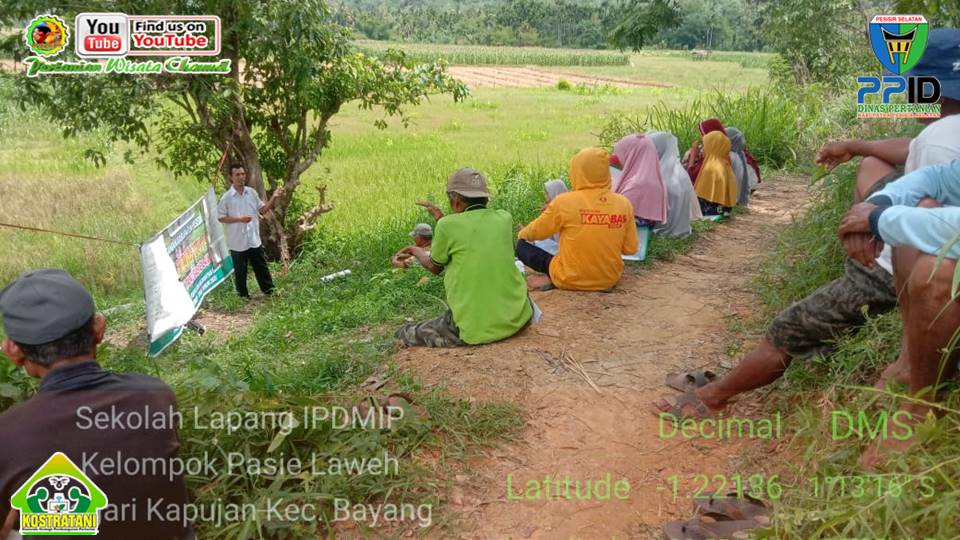 PENETAPAN HARGA TANDAN BUAH SEGAR (TBS) KELAPA SAWIT PERIODE III MARET 2022.