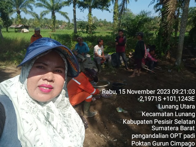 Gerakan Pengendalian Organisme Pengganggu Tanaman(OPT) Padi Sawag