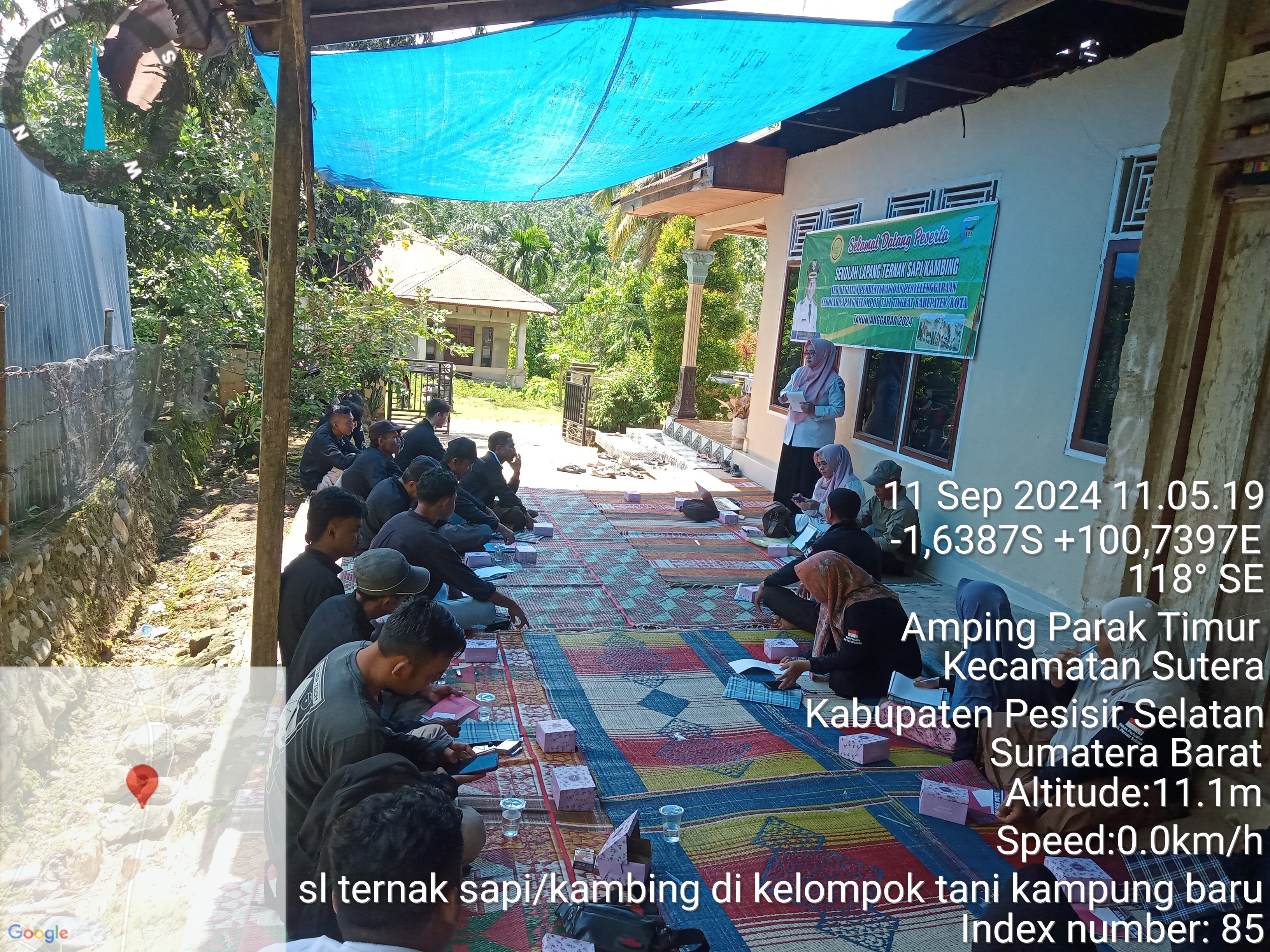 Sekolah lapang ternak sapi/kambing 