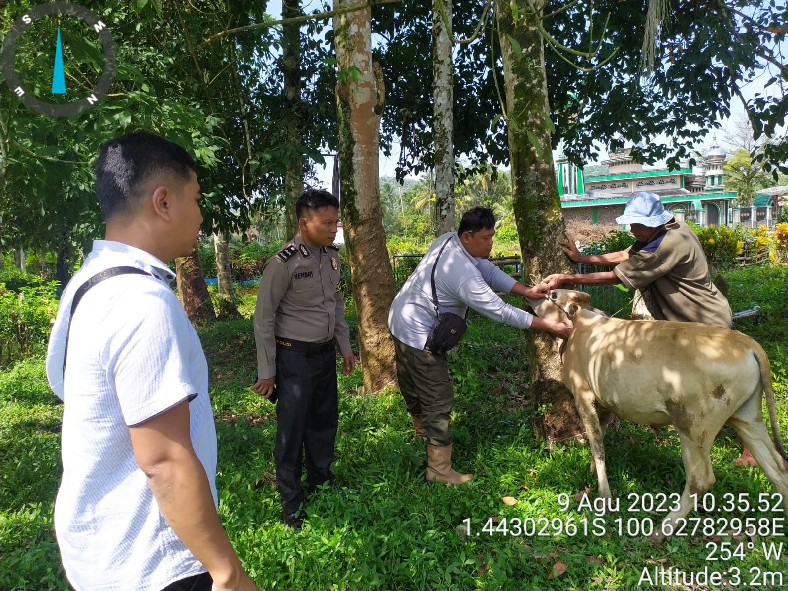 PELAKSANAAN VAKSINASI PMK DAN RABIES DI NAGARI SUNGAI NYALO KEC. BATANG KAPAS
