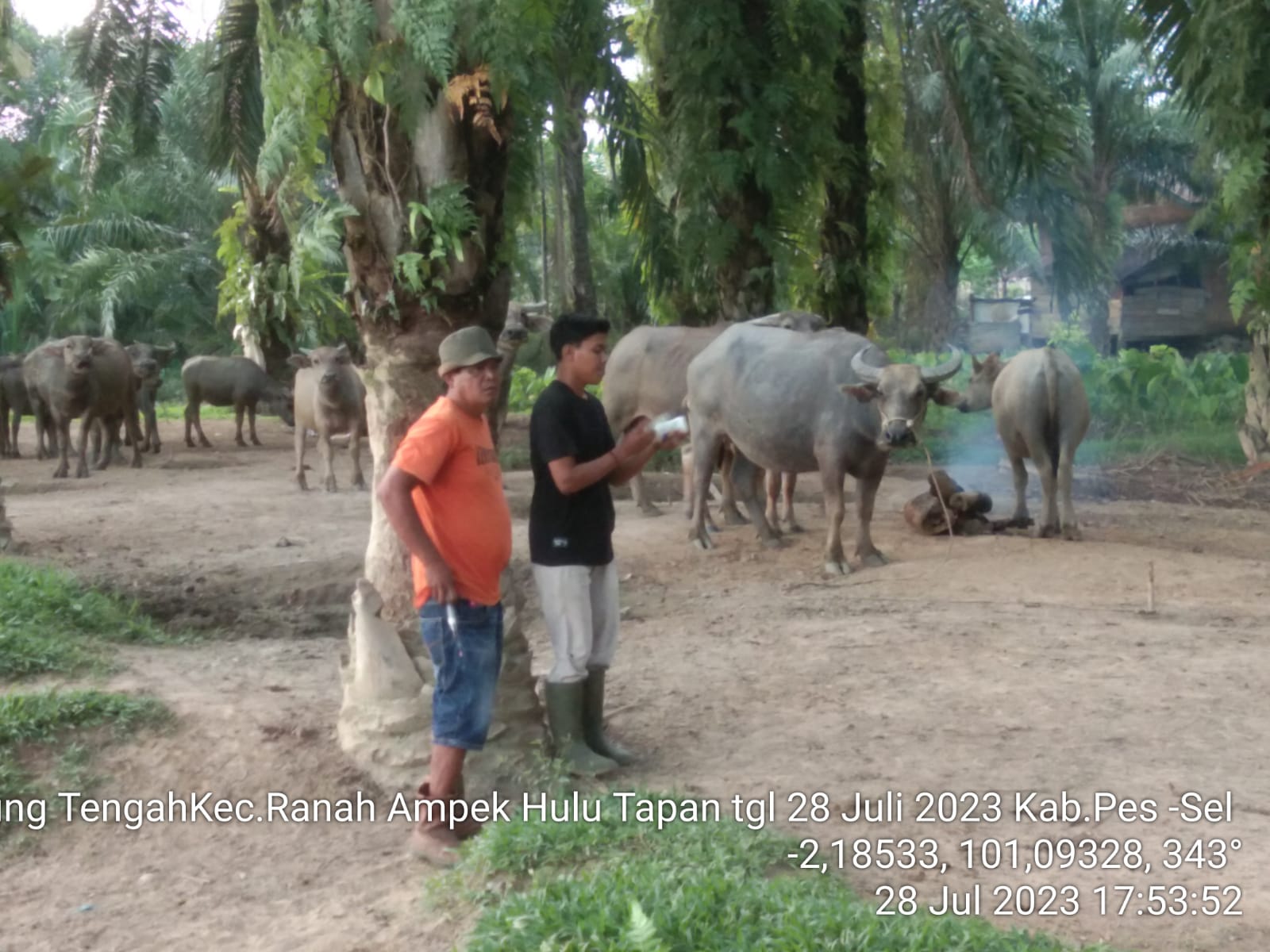 Puskeswan Inderapura Laksanakan Pelayanan Vaksinasi Terpadu di Kecamatan Air Pura dan kecamatan Rana