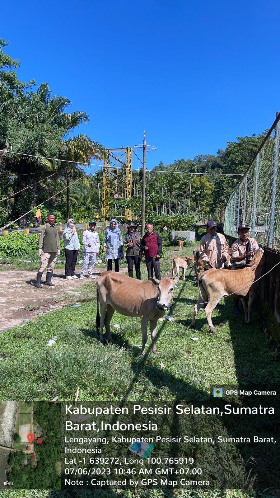 Bidang Keswan dan Kesmavet Lakukan Monitoring Vaksinasi PMK ke Kecamatan Lengayang