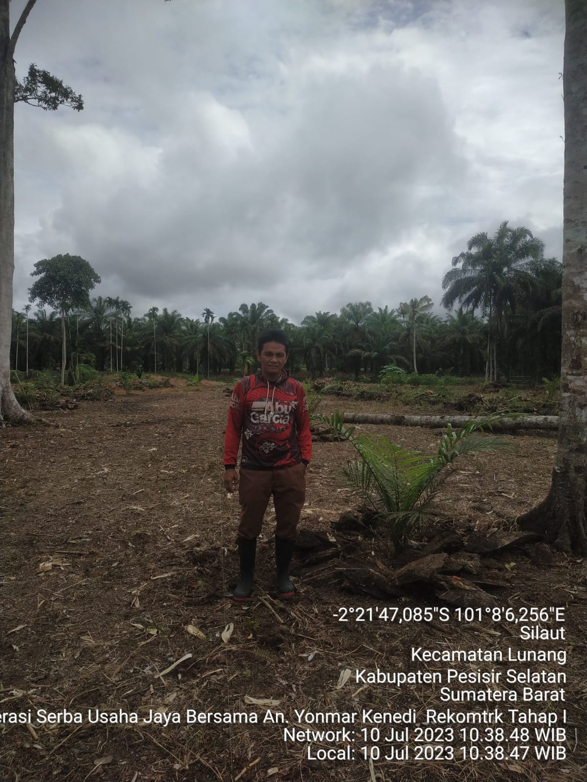 TINJAUAN LAPANGAN PEKEBUN PEREMAJAAN SAWIT RAKYAT KOPERASI SERBA USAHA JAYA BERSAMA SILAUT II