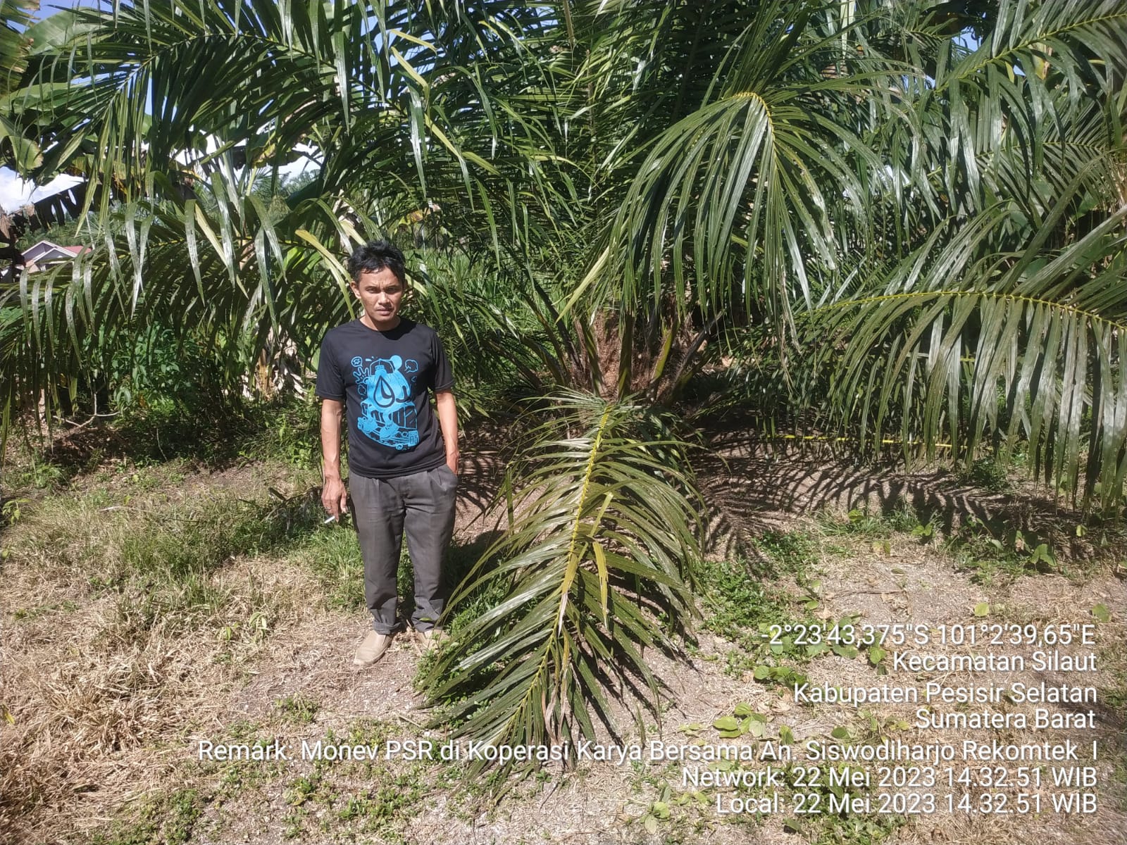 MONEV PSR DI PERKUMPULAN KELOMPOK TANI KARYA BERSAMA KEC. SILAUT