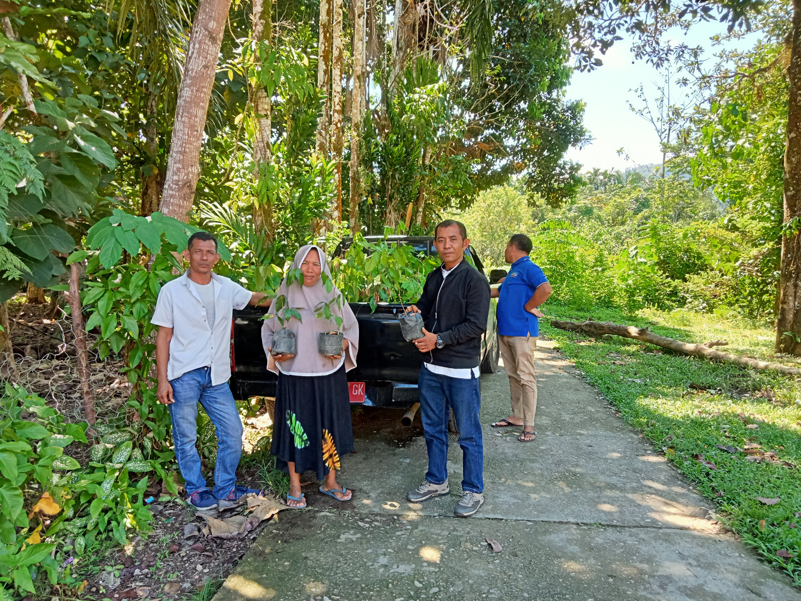 Pendropingan bibit jengkol varietas bareh dan lokan pessel di kelompok tani kapalo banda
