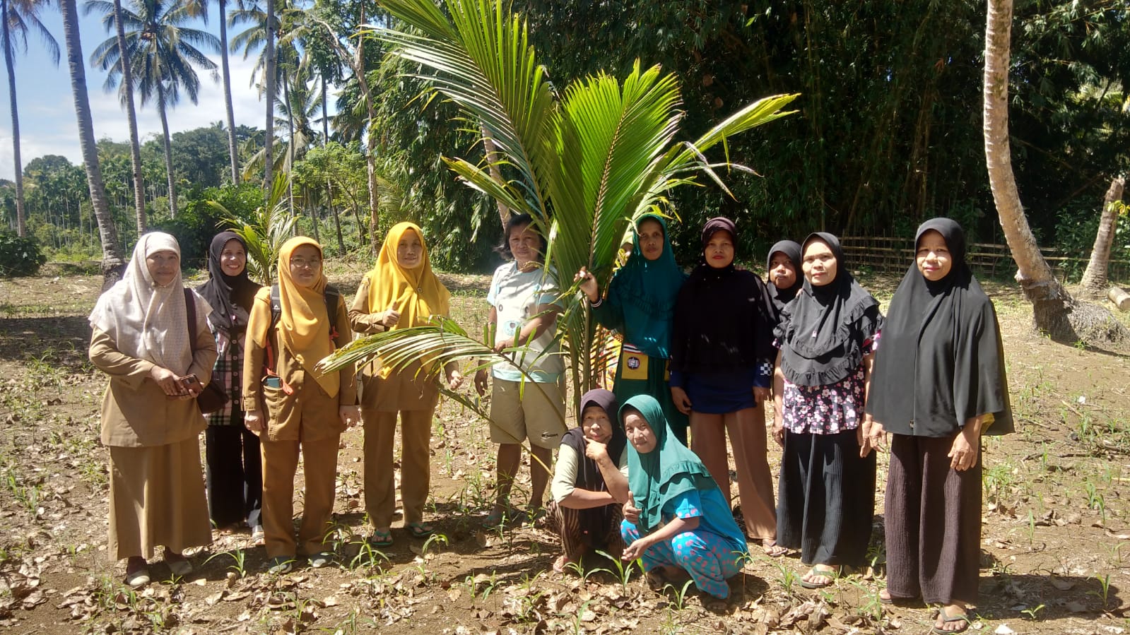 Monitoring dan Evaluasi Pelaksanaan SL PHT Tanaman Kelapa 