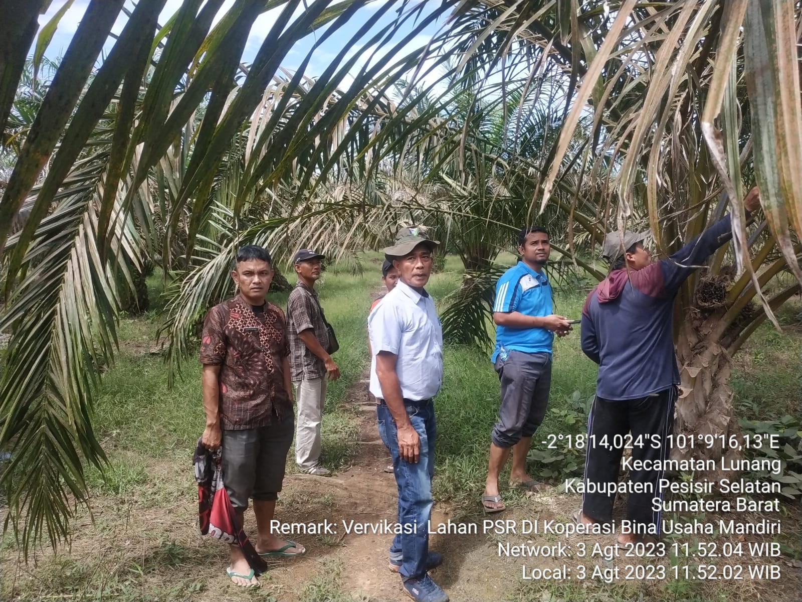 Pengecekan Lahan Peserta Kegiatan Peremajaan Kelapa Sawit Pekebun (PKSP) di Kabupaten Pesisir Selata