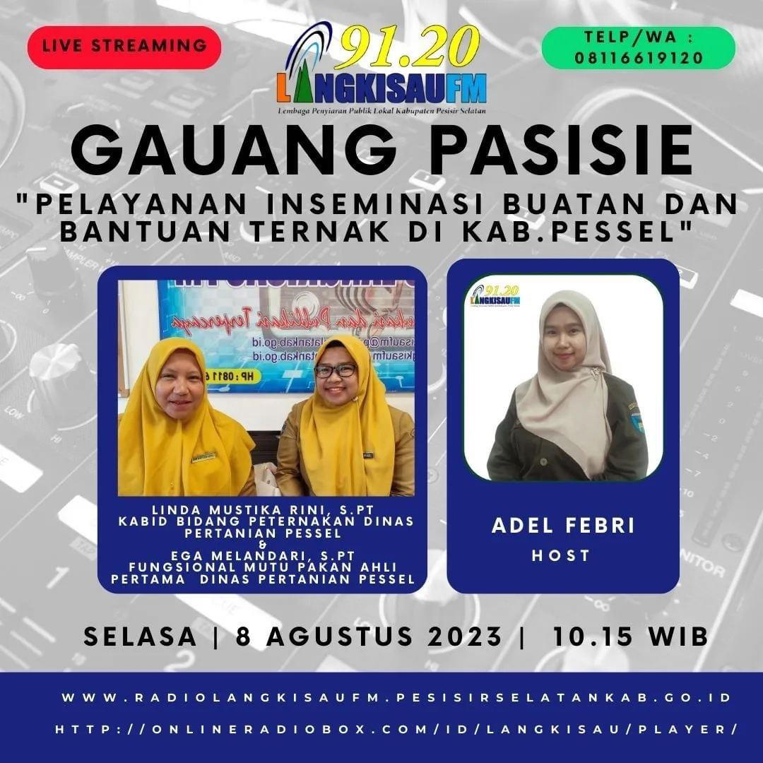 BIDANG PETERNAKAN EKSPOS KEGIATAN INSEMINASI BUATAN DAN BANTUAN TERNAK DI LANGKISAU FM