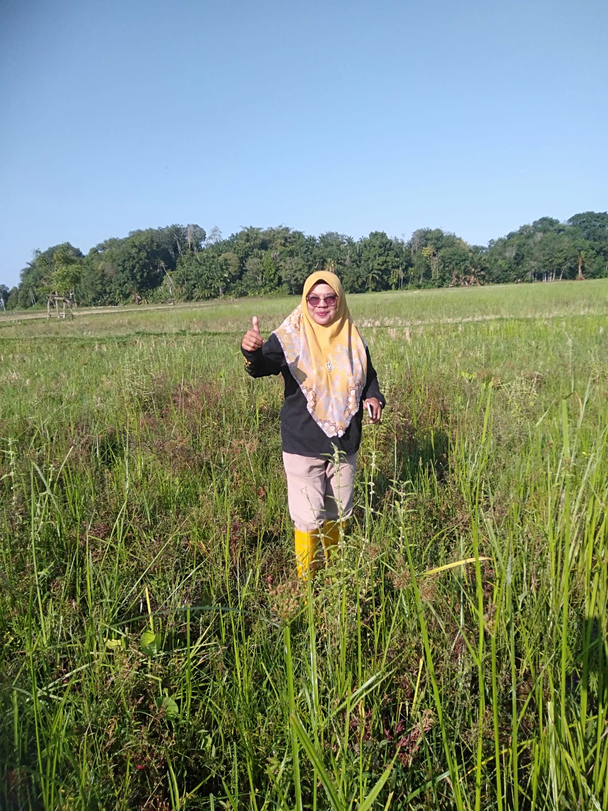 Pengamatan KSA Medan baik  nagari kambang kecamatan lengayang