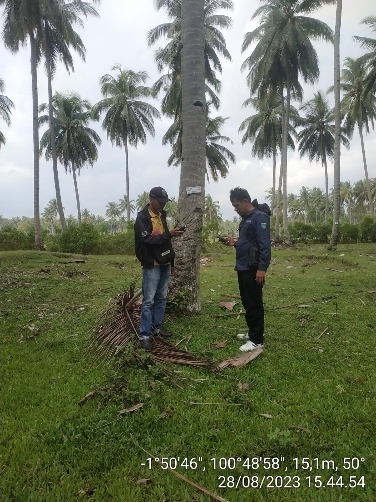 Pengambilan Titik Koordinat Kegiatan Pendampingan Kelapa Dalam di KWT Sempurna, Kecamatan Ranah Pesi