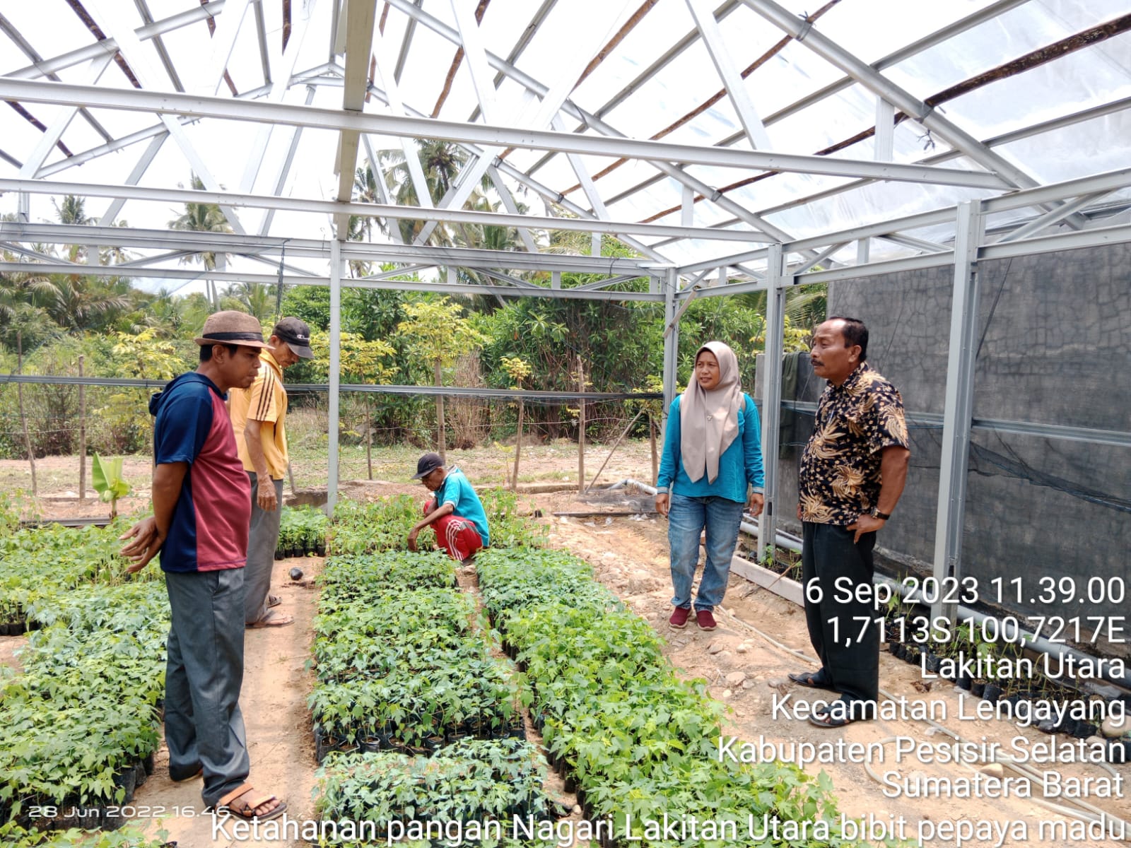 Ketahanan Pangan Nagari Lakitan Utara