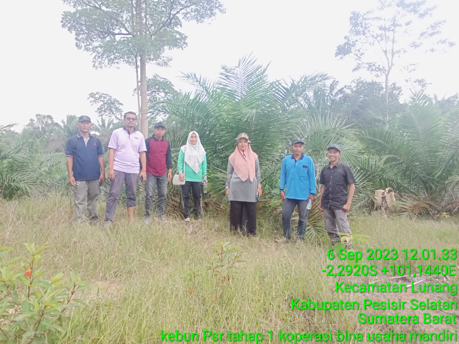 Pengecekan Kegiatan Peremajaan Kelapa Sawit Pekebun di Koperasi Usaha Bersama Bina Usaha Mandiri dan
