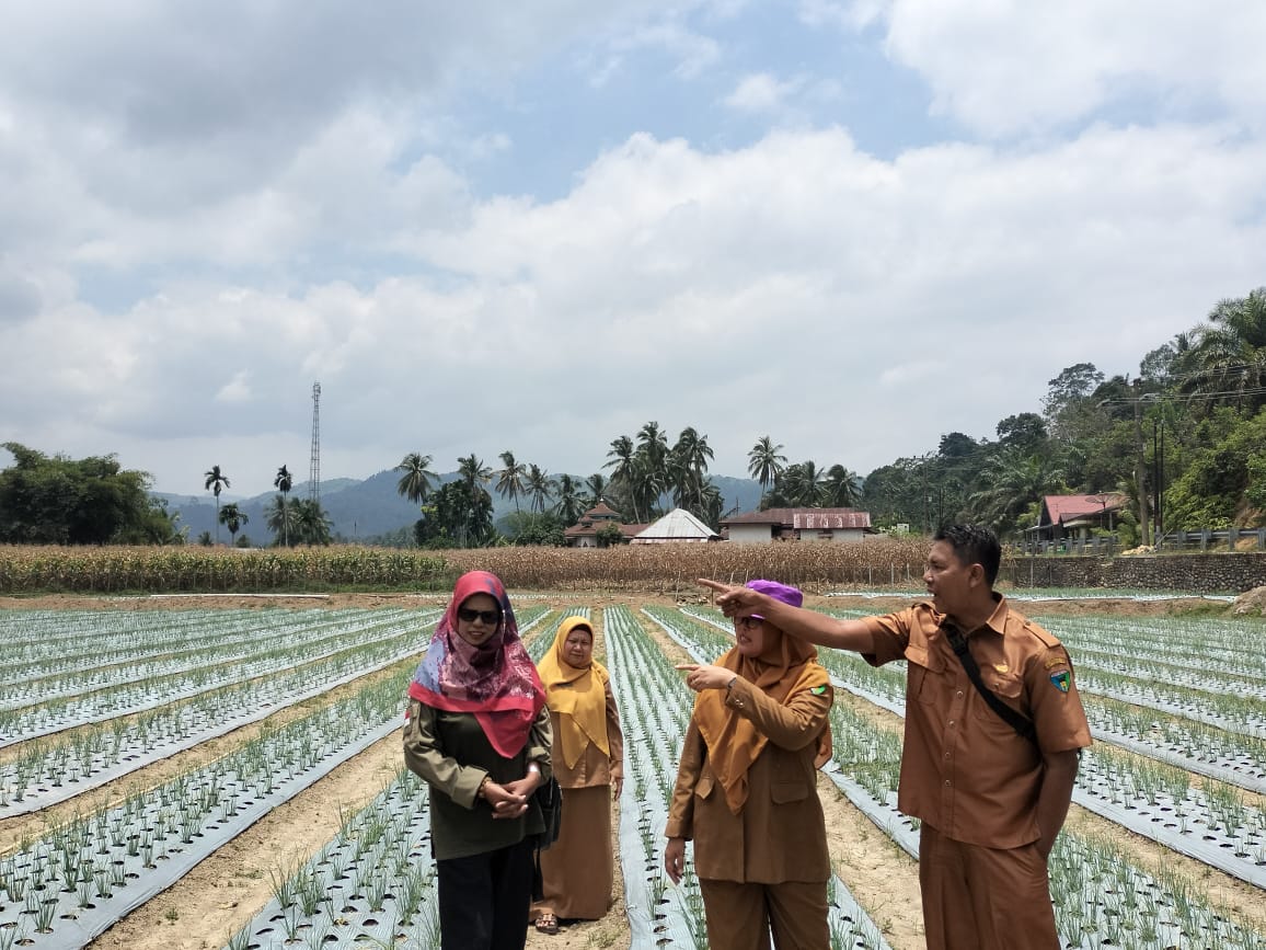 Verifikasi kelompok tani penerima hibah ppengembangan bawang merah APBD Perubahan 2023