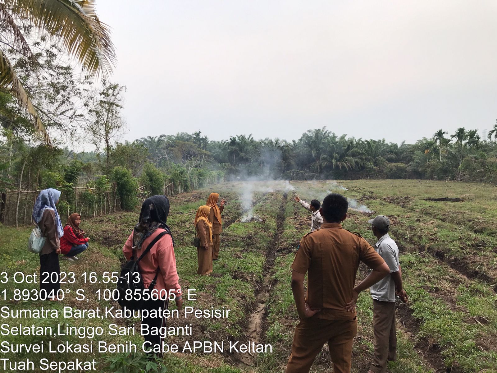 Survey Lokasi Benih Cabe APBN Kelompok Tani Tuah Sepakat