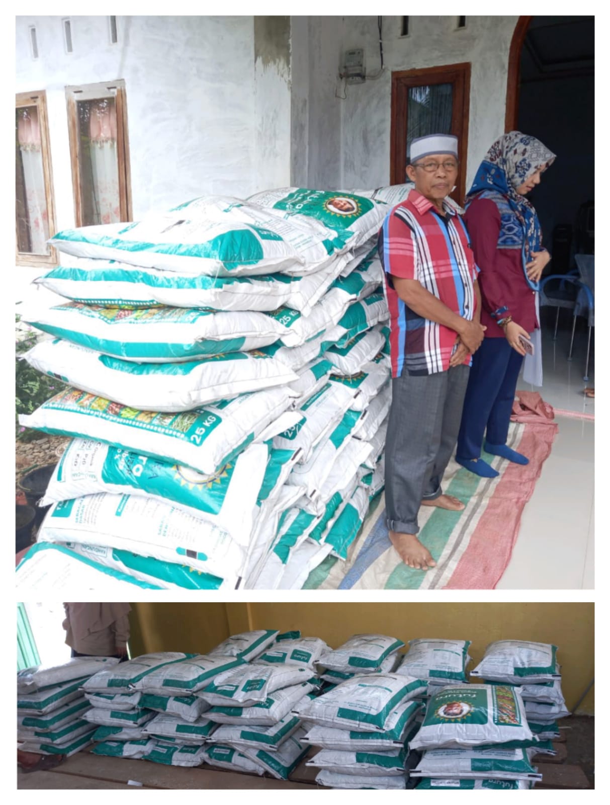 KABUPATEN PESISIR SELATAN DIALOKASIKAN PUPUK ORGANIK SEBANYAK 18 TON OLEH DINAS PERKEBUNAN, TANAMAN 