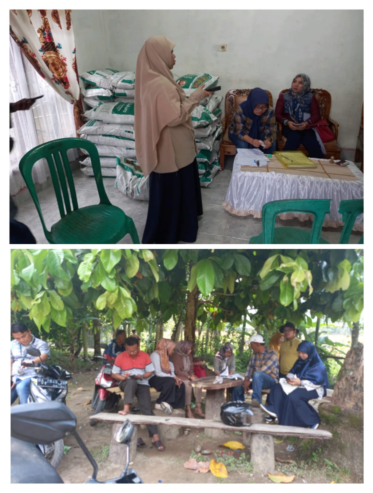 EVALUASI DAN SERAH TERIMA PUPUK ORGANIK DI KABUPATEN PESISIR SELATAN OLEH DINAS PERKEBUNAN, TANAMAN 