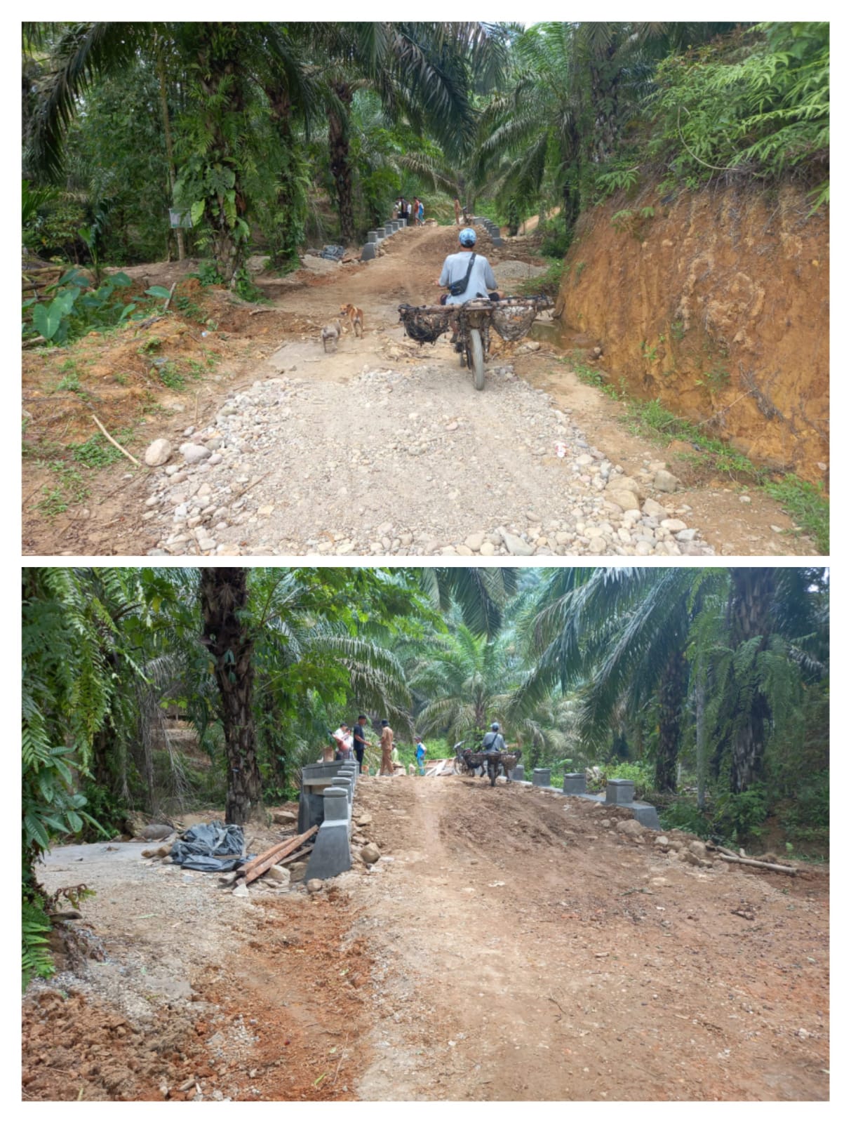 KELOMPOK TANI AIR BAMBAN KECAMATAN SUTERA AKAN SEGERA MEMPUNYAI JALAN YANG REPRESENTATIF BISA DILEWA