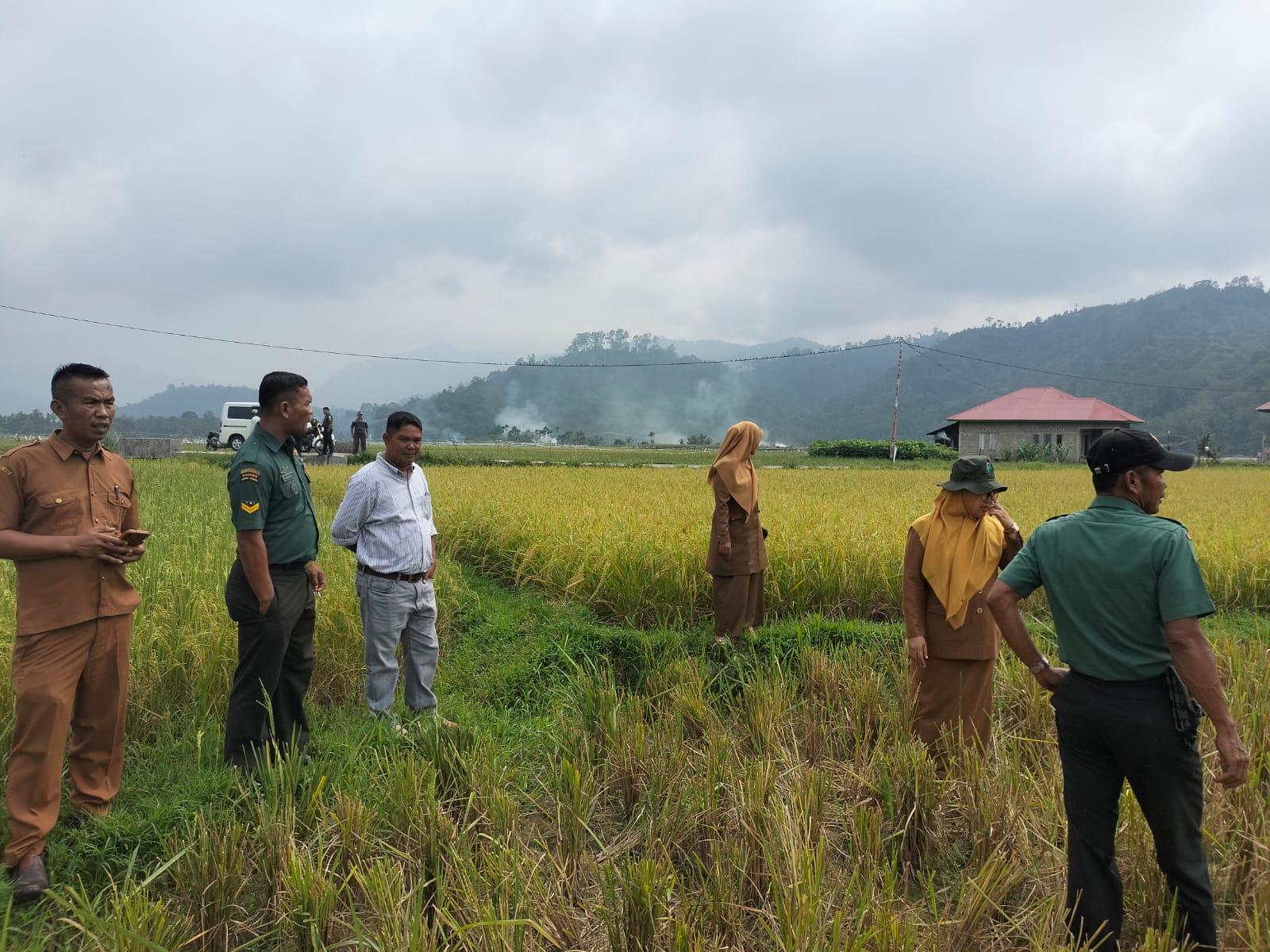 PERSIAPAN VIDCON DENGAN WAPRES DI KLP TANI LANGONG KEC BAYANG KERJA SAMA DENGAN KODIM BAYANG