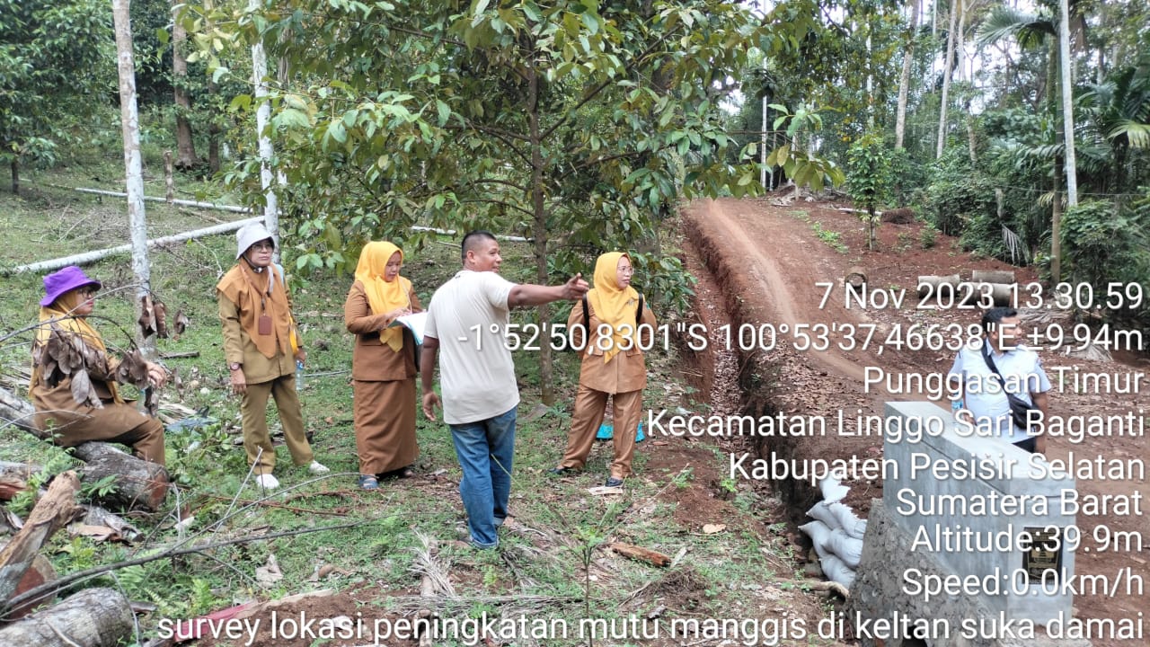 CPCL PENINGKATAN INTENSIFIKASI KOMODITAS MANGGIS DI KELTAN SUKA DAMAI KEC. LINGGO SARI BAGANTI