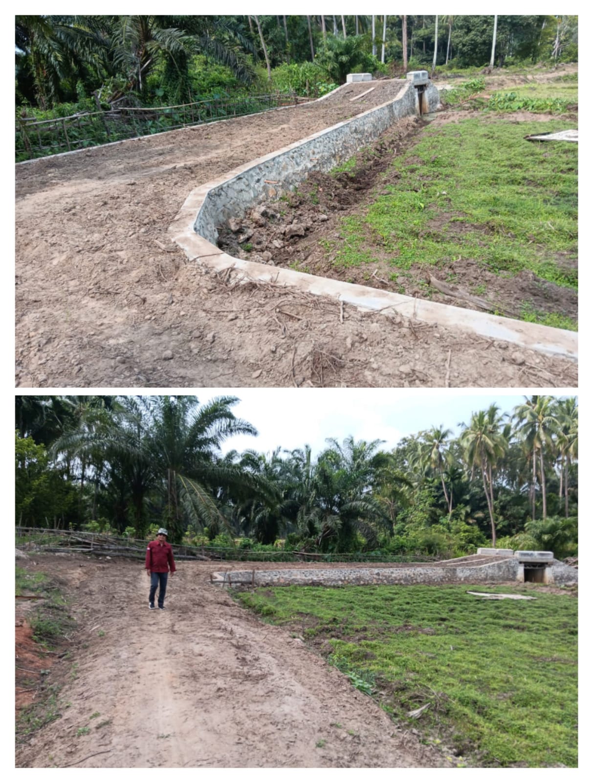 PEMANFAATAN JALAN USAHA TANI KELOMPOK TANI TUAH SEPAKAT NAGARI UNTUK MENGURANGI ONGKOS PRODUKSI PERT