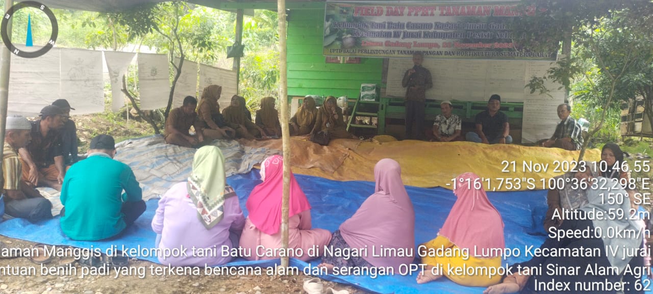 TPH - FIELD DAY PPHT TANAMAN MANGGIS