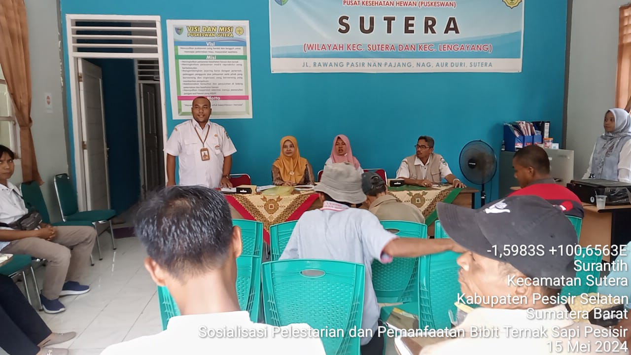 BPP SUTERA DAN PUKESWAN SUTERA SOSIALISASIKAN PELESTARIAN DAN PEMANFAATAN BIBIT SAPI PESISIR